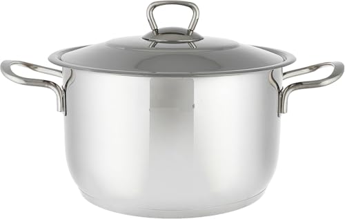 Generic Stainless Steel Cooking Pot with Lid, 18 cm Deep Pot with Dual Handles, Silver Finish